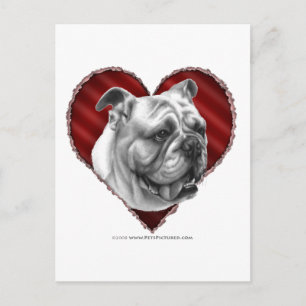 Carte Postale Bulldog avec coeur