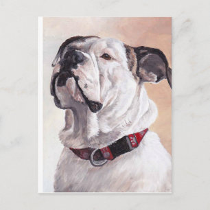 Carte postale Bulldog Chien