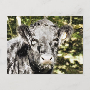 CARTE POSTALE BULLES