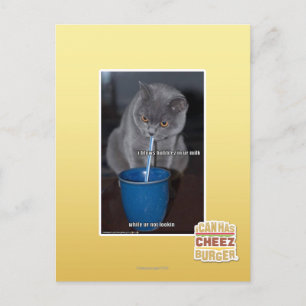 Carte Postale Bulles de coups en lait d'ur