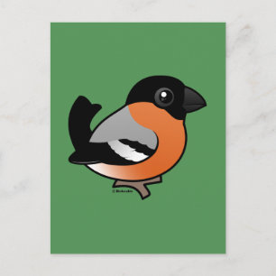 Carte Postale Bullfinch