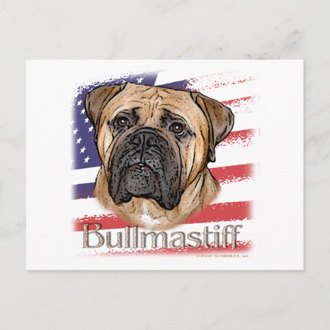 Carte Postale Bullmastiff (Devant)