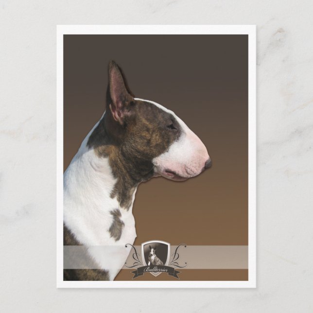 Carte postale Bullterrier 2011 (Devant)
