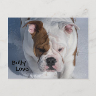 Carte Postale Bully de neige 2 - Bulldog anglais