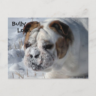 Carte Postale Bully de neige - Bulldog anglais