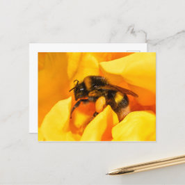 Carte Postale Bumble Bee