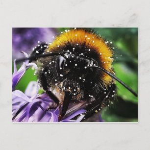 Carte Postale Bumble Bee