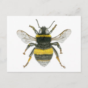 Carte postale Bumble Bee