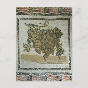 Carte Postale Bunch de raisins blancs, mosaïque romaine