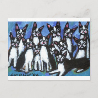 Carte Postale Bunch of Bostons
