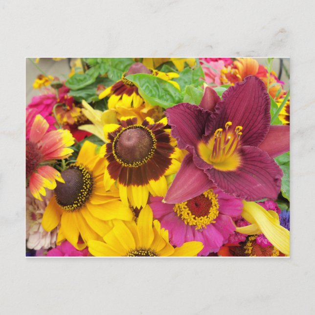 Carte Postale Bundle de fleurs (Devant)