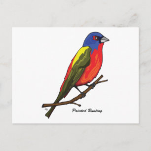 CARTE POSTALE BUNING PEINTÉ