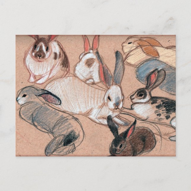 Carte Postale Bunnies (Devant)