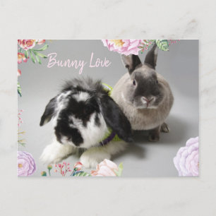 Carte Postale Bunny Love