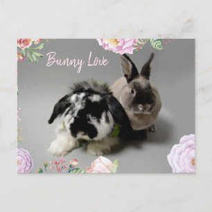 Carte Postale Bunny Love