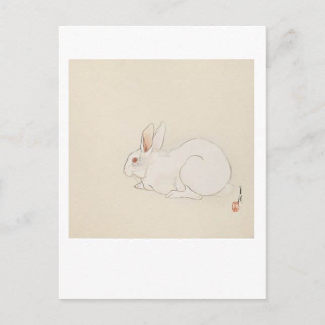 Carte Postale Bunny rose (Devant)