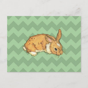 Carte Postale Bunny Sage Chevron Duo