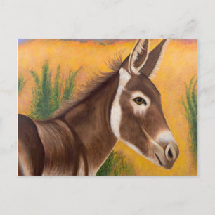 Carte Postale Burro du désert