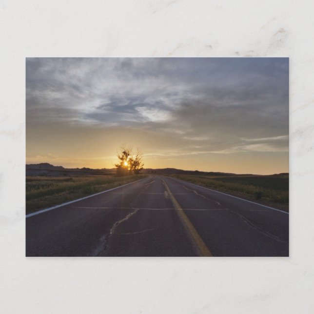 Carte Postale Bush en feu (Devant)