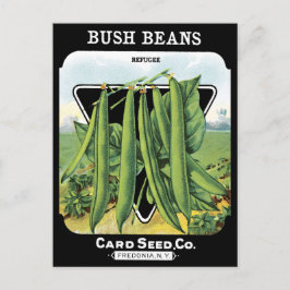 Carte Postale Bush Haricots Pack de graines Jardin de légumes No