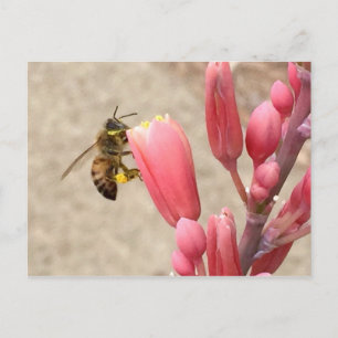 Carte Postale Busy Bee