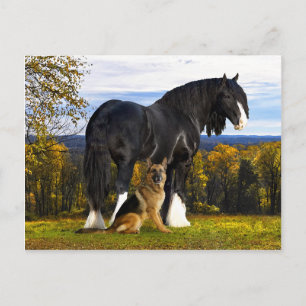 Carte postale "Butch and Blackbird"