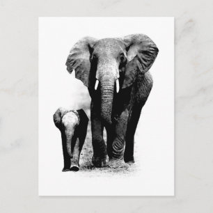 Carte Postale BW Elephant & Baby Elephant