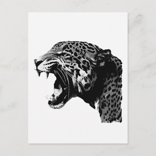 Carte Postale BW Jaguar (Devant)