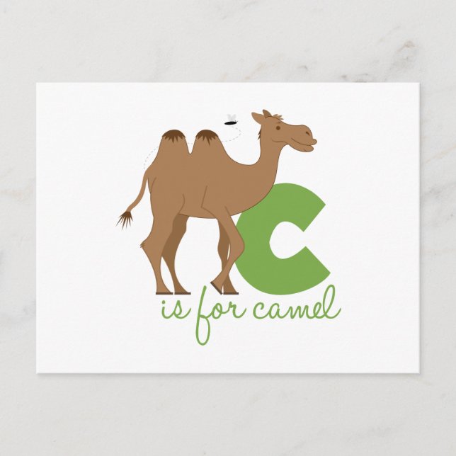 Carte Postale C Est Pour Camel (Devant)