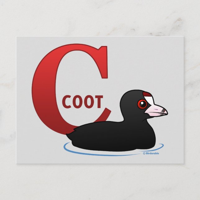 Carte Postale C est pour Coot (Devant)