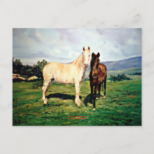 Carte Postale Caballos/Cabalos/Chevaux