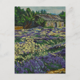Carte Postale Cabanon dans la lavande