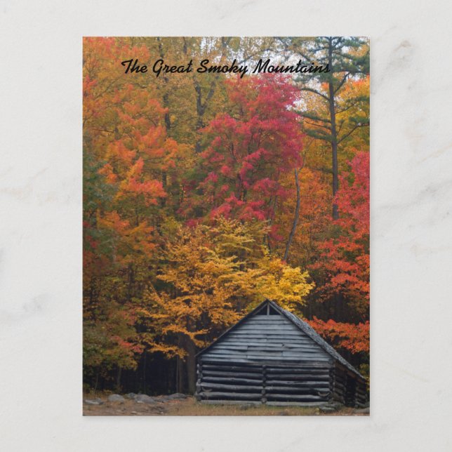 Carte Postale Cabine dans les bois (Devant)