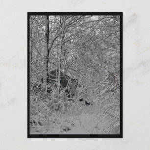 Carte Postale Cabine dans les bois