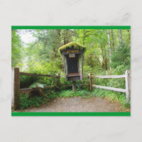 Cabine de téléphone Mossy - Forêt de pluie Hoh
