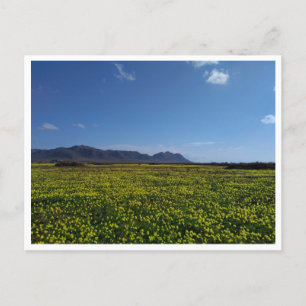 Carte Postale Cabo de Gata, Andalousie (Espagne)