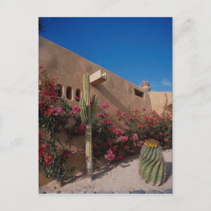 Carte Postale Cabo San Lucas, Baja, Mexique