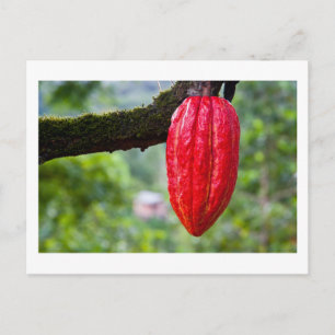 Carte Postale cabosse rouge
