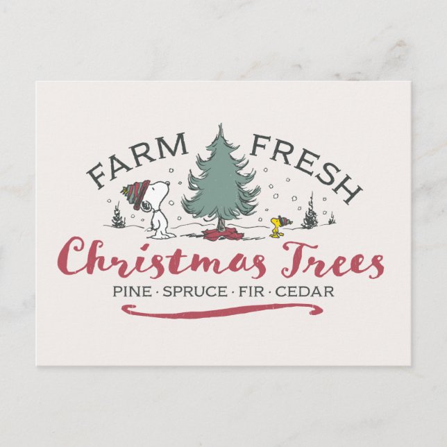 Carte Postale cacahuètes | Arbres de Noël frais de ferme (Devant)
