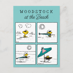 Carte Postale cacahuètes   Bois de bois à la plage