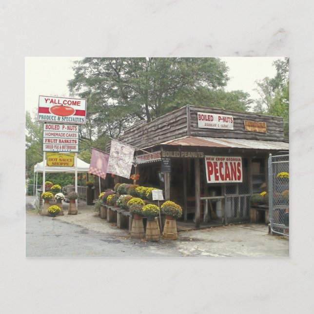 Carte Postale cacahuètes bouillies VOUS VENEZ TOUS (Devant)