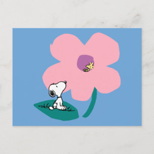 Carte Postale Cacahuètes   Fleur rose illustrant la nature