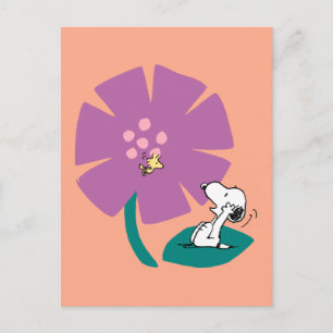 Carte Postale Cacahuètes   Fleur violette illustrant la nature