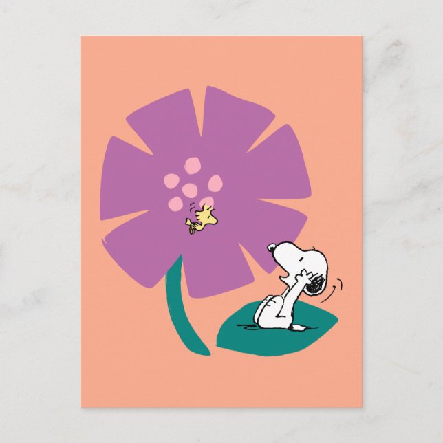 Carte Postale Cacahuètes | Fleur violette illustrant la nature (Devant)