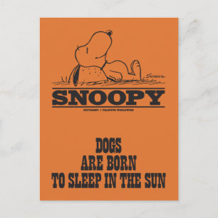 Carte Postale cacahuètes Snoopy Dormir dans le soleil
