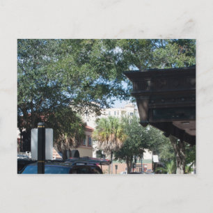 Carte Postale cacao, Floride