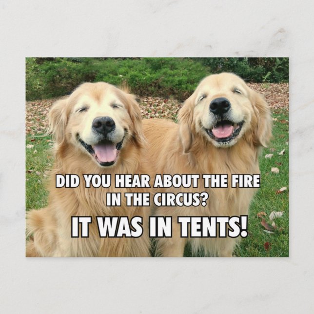 Carte Postale (Caché) Funny Golden Retriever Circus Fire Joke (Devant)