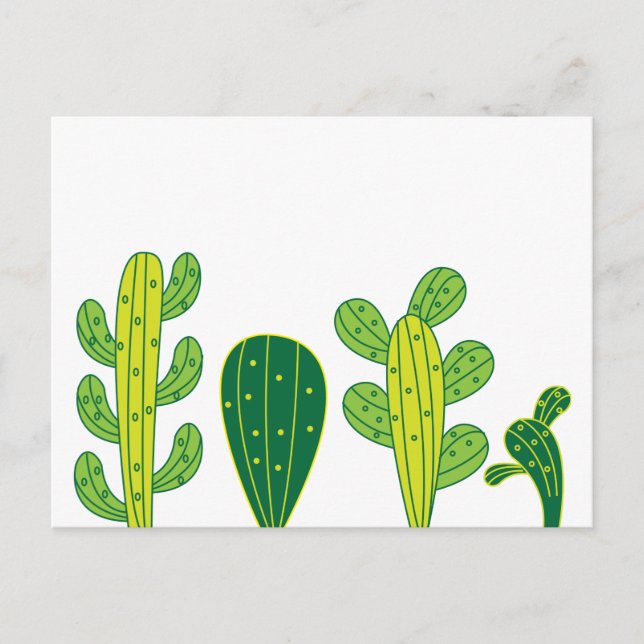 Carte Postale Cactus Cacti  (Devant)