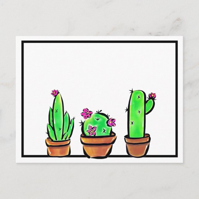 Carte Postale Cactus cactus cactus succulents (Devant)