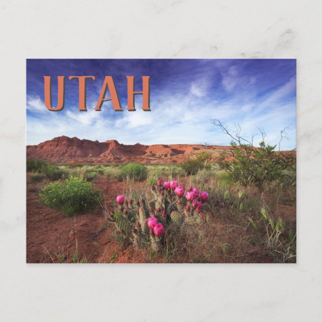 Carte Postale Cactus du désert de l'Utah (Devant)